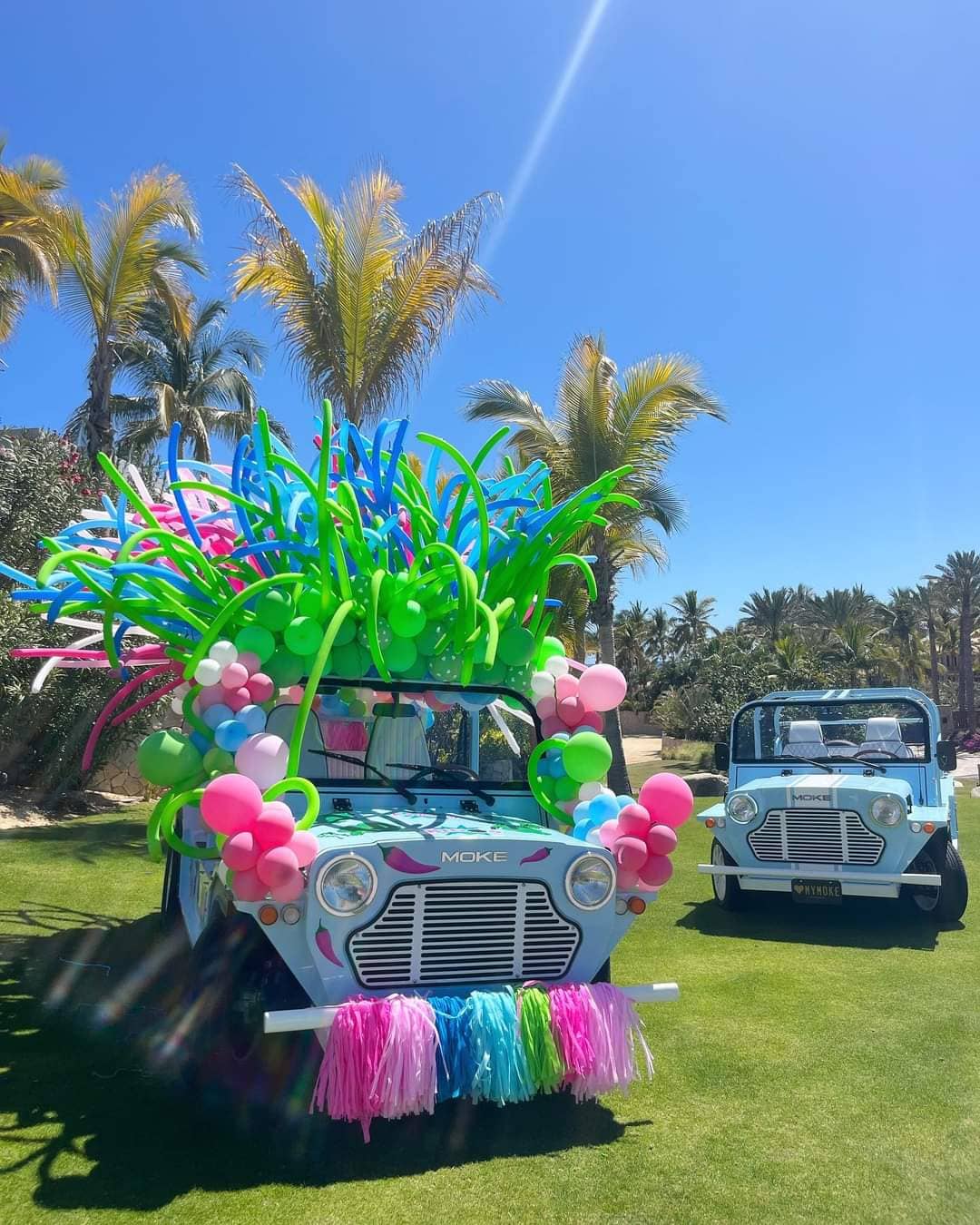 Two colorful cars decorated with balloons and streamers on a grassy area, surrounded by palm trees under a clear blue sky.