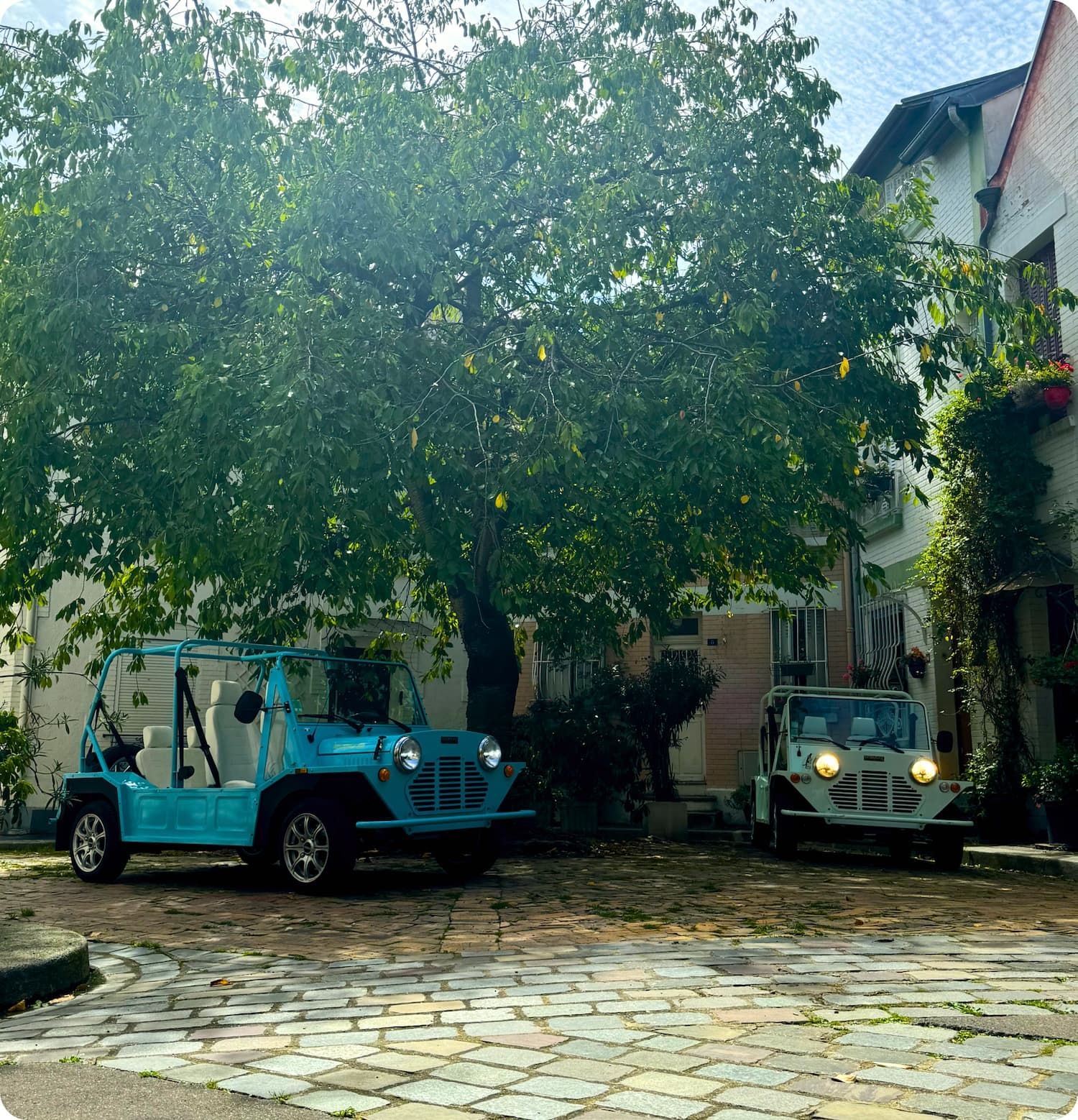 Two blue vintage Mini Moke parked under a large tree in a cobblestone courtyard, surrounded by charming buildings.